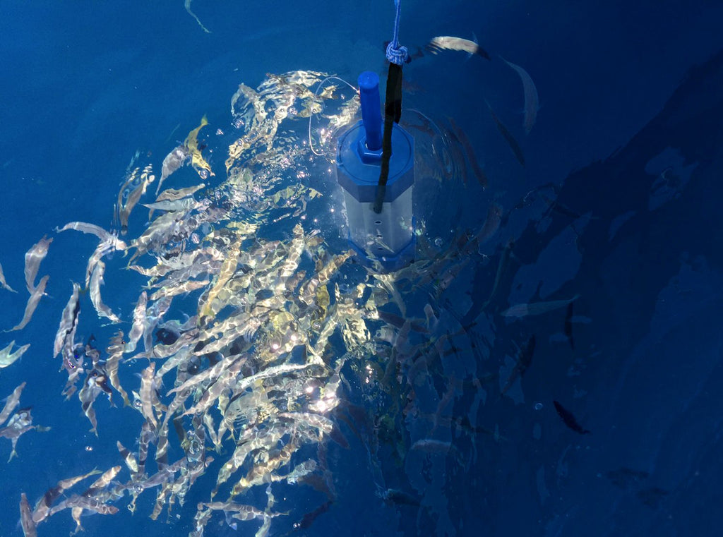 Super Chum Chopper & Dispenser For Fishing
